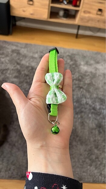 Rengarenk kedi tasmaları - Görsel 9