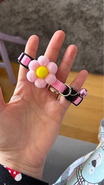 Rengarenk kedi tasmaları - Görsel 18