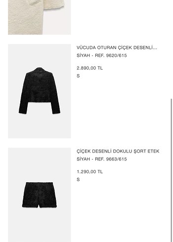 Zara Siyah Nakışlı Kadın Ceket Blazer ve Şort Etek Takım - Görsel 7