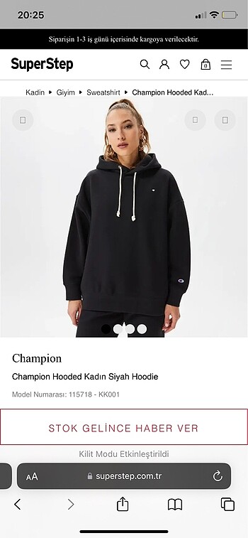 champion sweatshirt