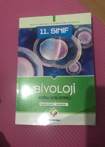 11. Sınıf yardımcı kaynak - Görsel 6