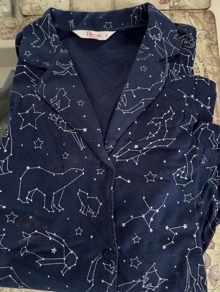 Mavi Baskılı Pijama Takımı - Görsel 2