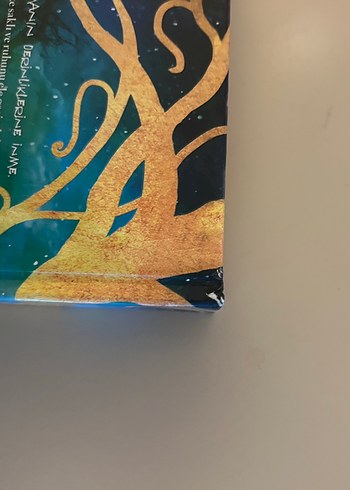 Serafina ve Siyah Pelerin - Roman - Görsel 3