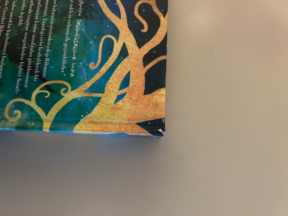 Serafina ve Siyah Pelerin - Roman - Görsel 3