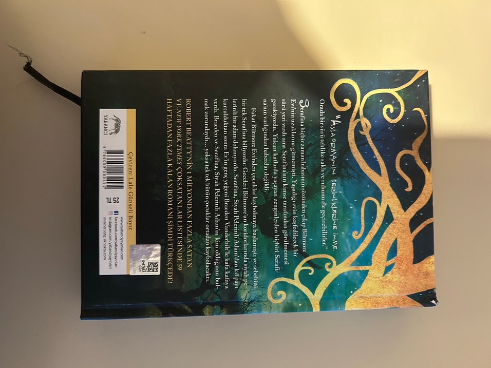 Serafina ve Siyah Pelerin - Roman - Görsel 2