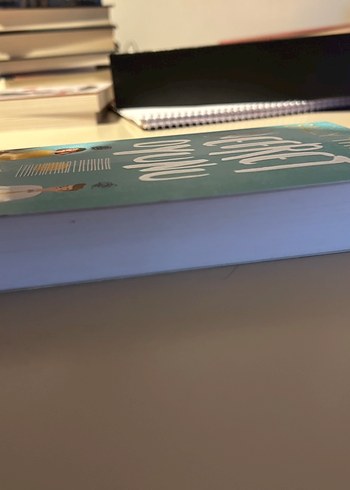 Nefret Oyunu - Roman - Görsel 3