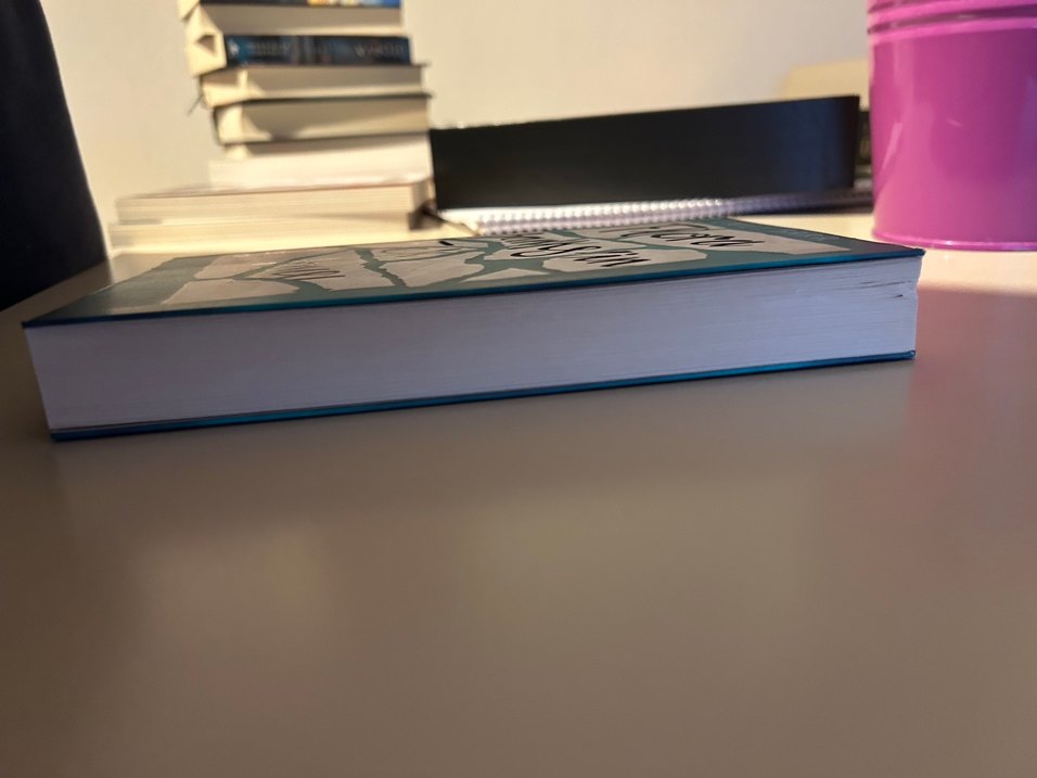 Flora Banksin Tek Anısı - Görsel 3