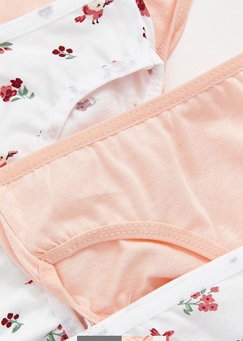 Çiçek Desenli ve Pembe Kız çocuk Külot Seti - Görsel 2