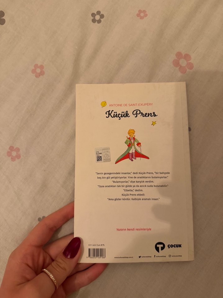 KÜÇÜK PRENS - Görsel 2