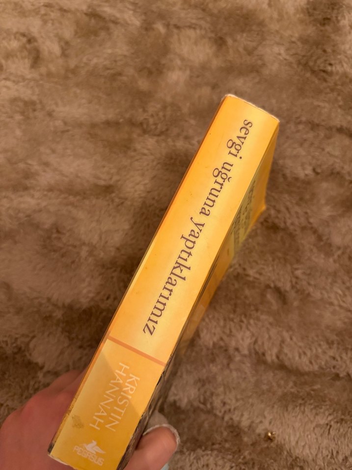 Sevgi Uğruna Yaptıklarımız - Kristin Hannah - Görsel 2
