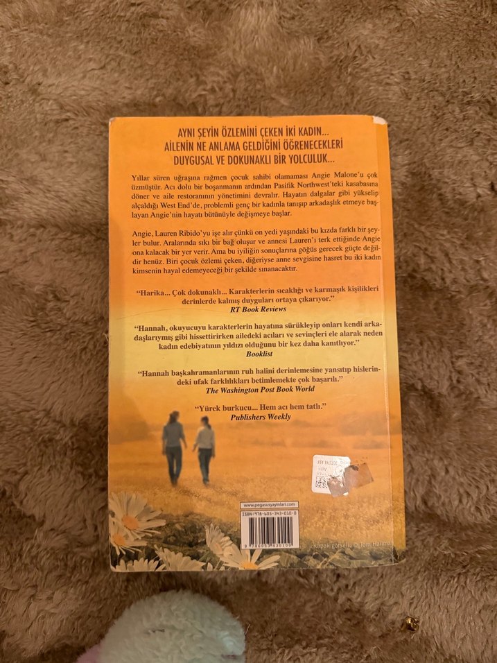 Sevgi Uğruna Yaptıklarımız - Kristin Hannah - Görsel 3