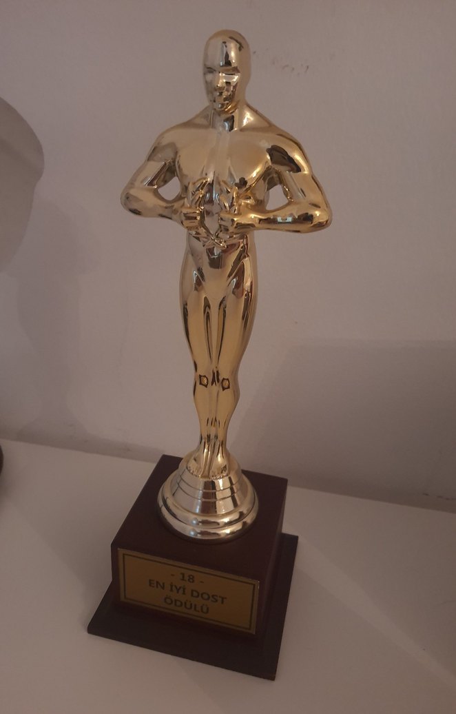 En iyi dost - Parlak Figürin Ödül - Görsel 2