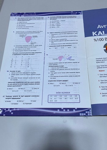 Biyoloji sınav yayınları - Görsel 3