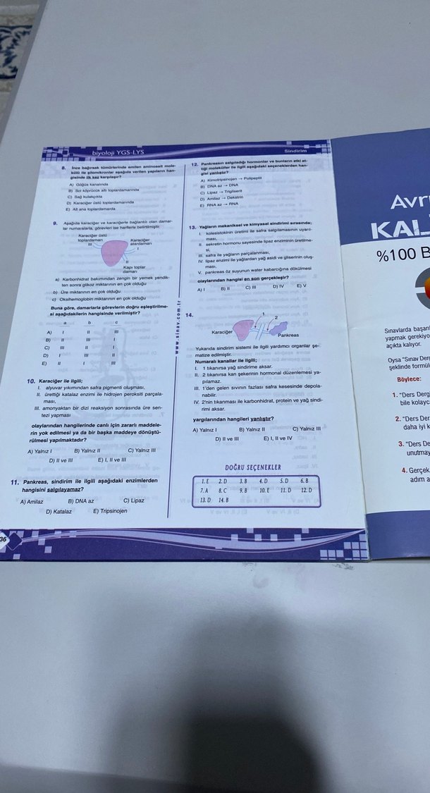 Biyoloji sınav yayınları - Görsel 3