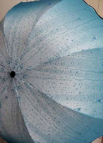 Bayan şemsiyesi
