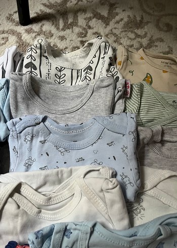 Uzun kollu zıbın - Görsel 3