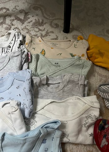 Uzun kollu zıbın - Görsel 4