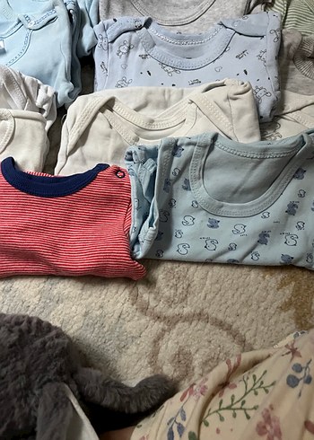 Uzun kollu zıbın - Görsel 5