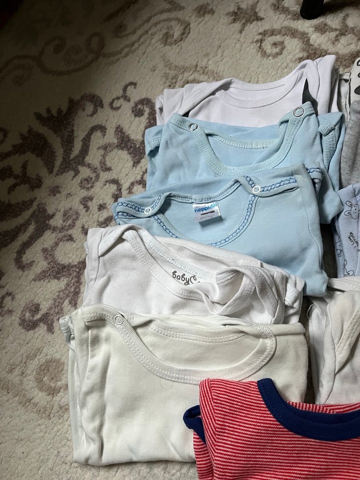 Uzun kollu zıbın - Görsel 2