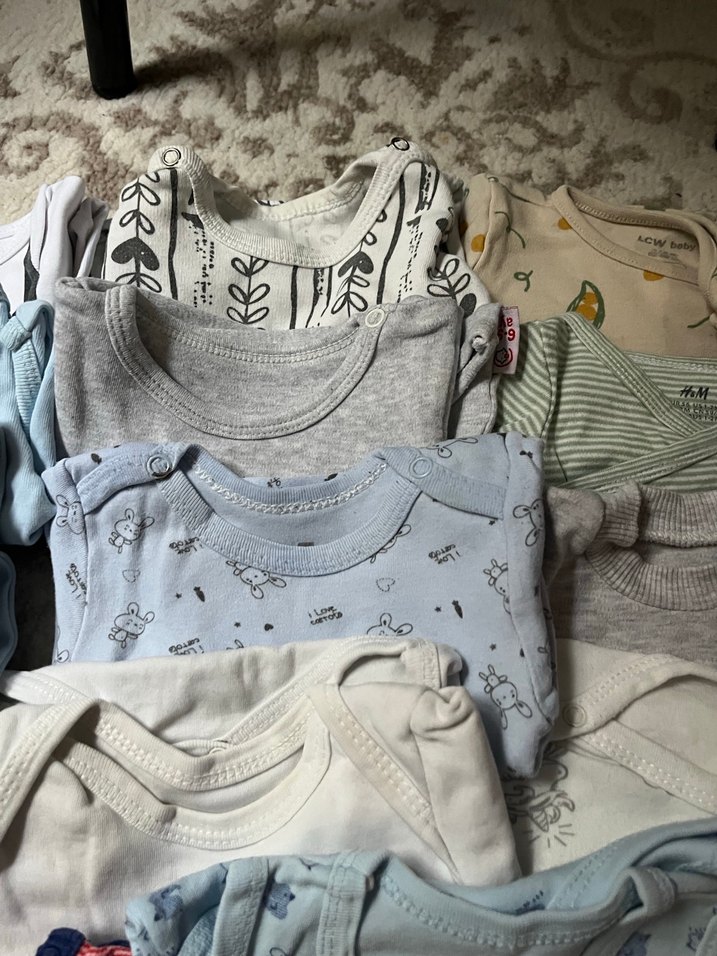 Uzun kollu zıbın - Görsel 3