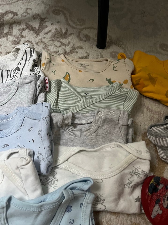 Uzun kollu zıbın - Görsel 4