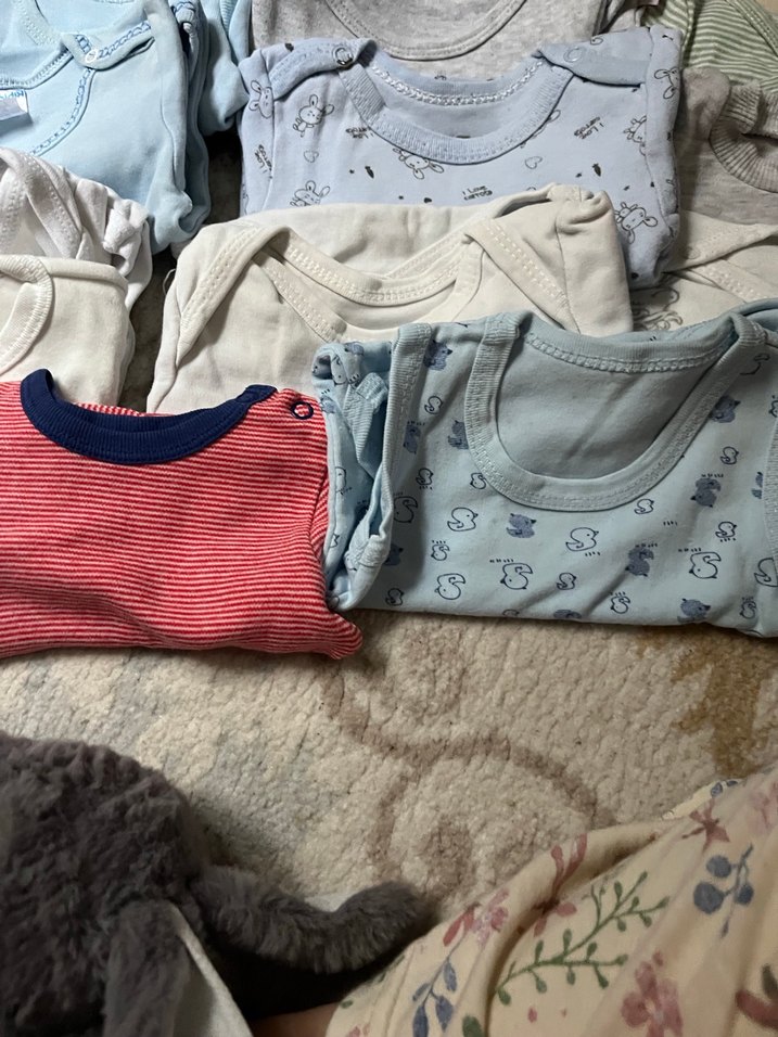 Uzun kollu zıbın - Görsel 5