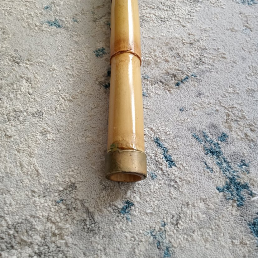 Sol el üstte Kız Ney - Görsel 2