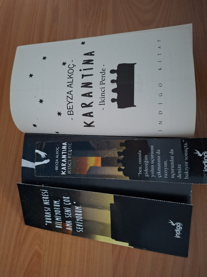 Beyza Alkoç Karantina roman - Görsel 3