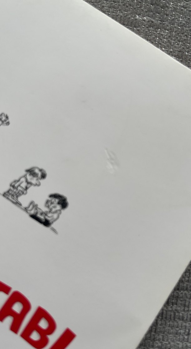 Behçik Ak Karikatür Kitabı - Görsel 4