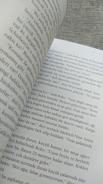 Beden Roko ile Konuşmalar