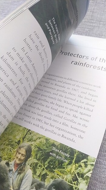 Beden Rainforests (İnglizce)