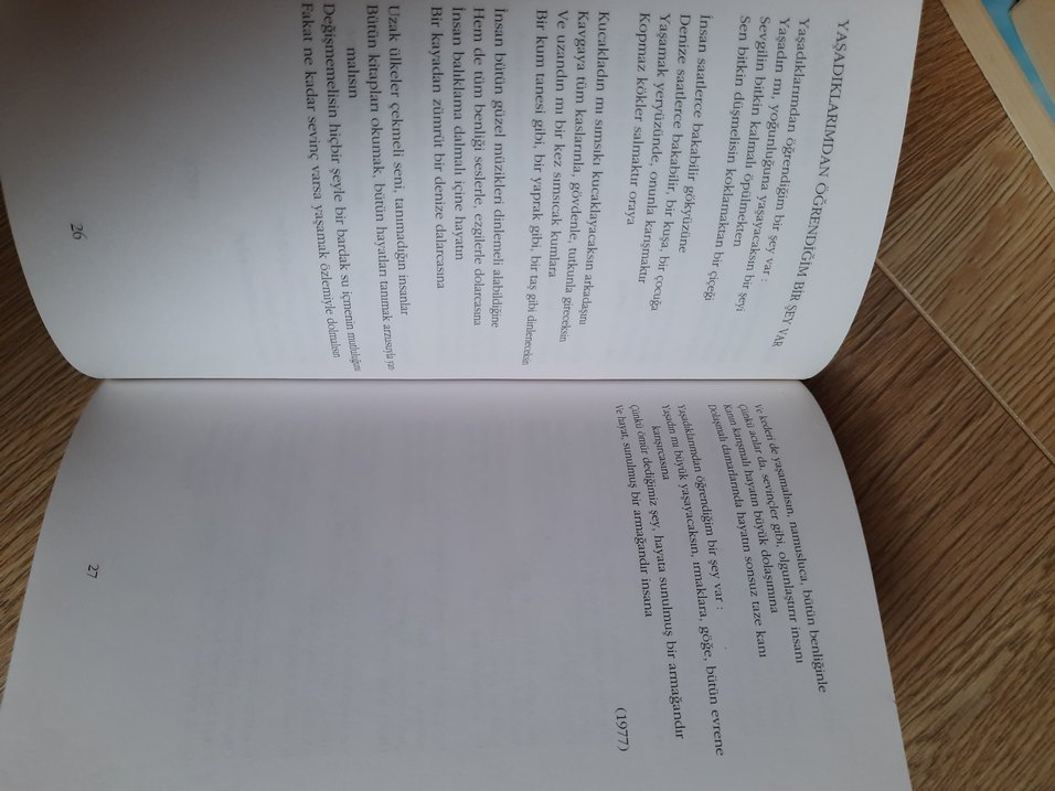 Ataol Behramoğlu Şiir Kitabı - Görsel 3