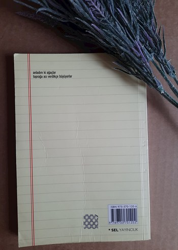 Anladım - Yılmaz Erdoğan - Görsel 2