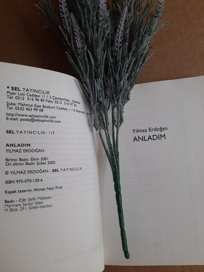 Anladım - Yılmaz Erdoğan - Görsel 3