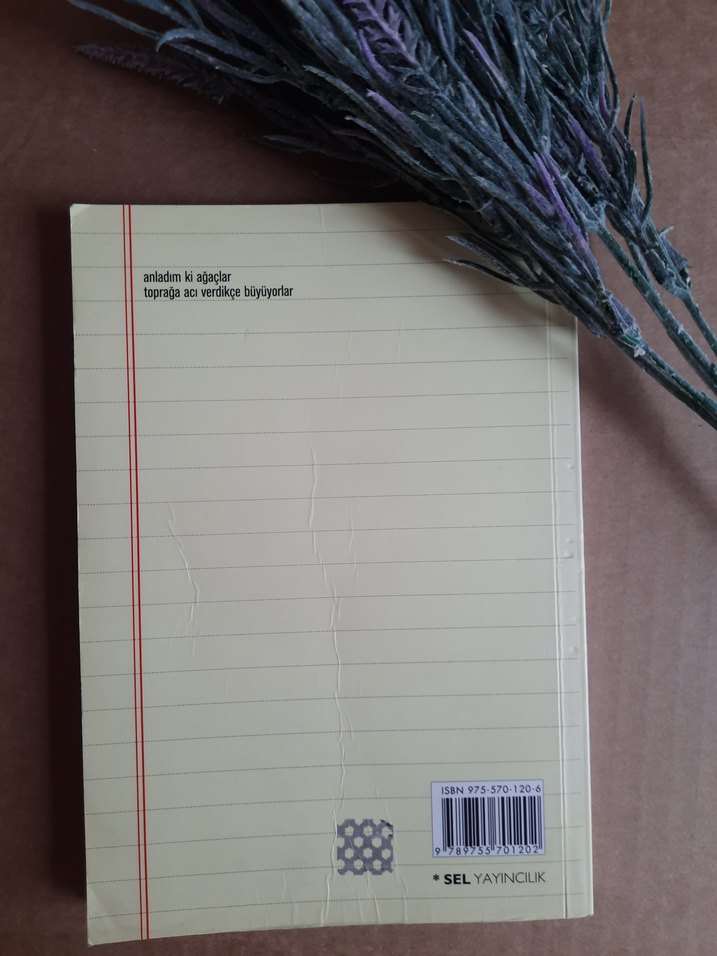 Anladım - Yılmaz Erdoğan - Görsel 2