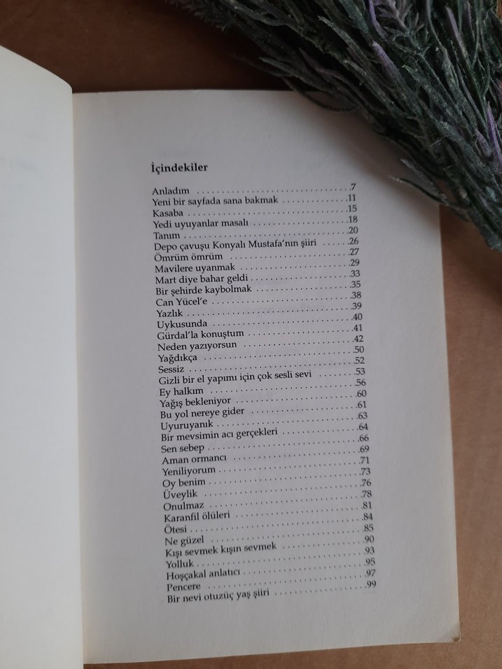 Anladım - Yılmaz Erdoğan - Görsel 4