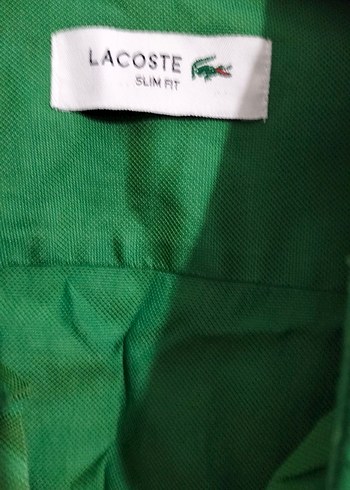 orijinal Lacoste marka gömlek - Görsel 3