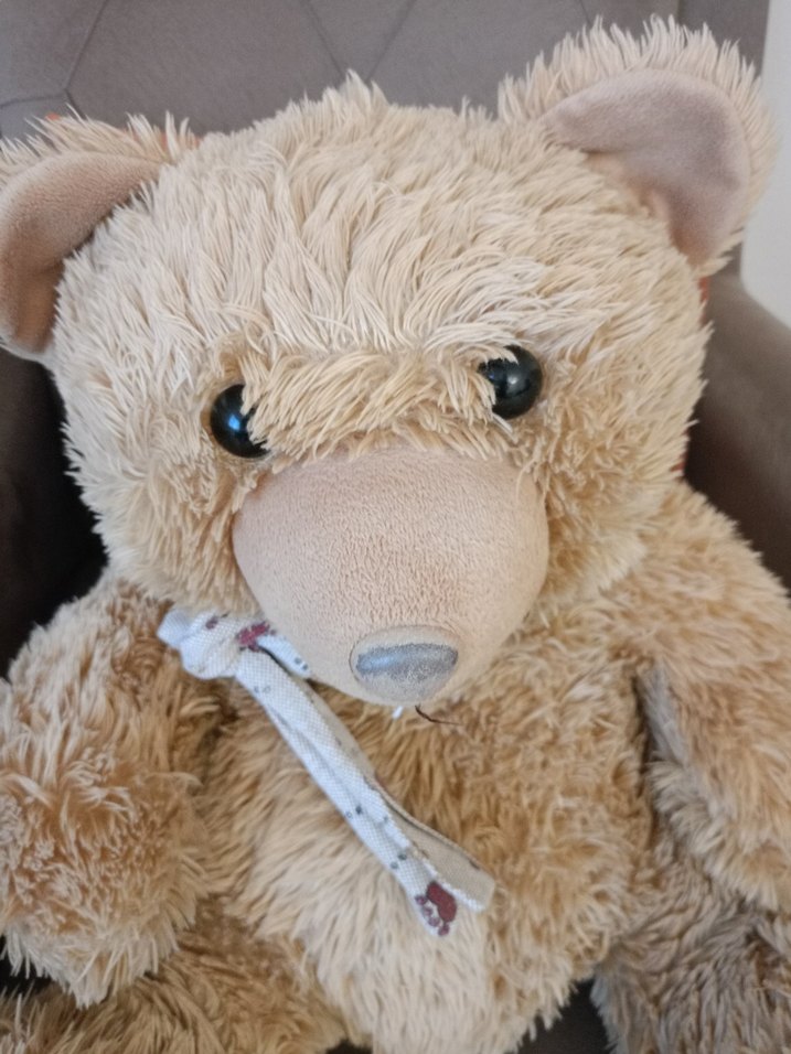 Pastel Kahverengi Peluş Ayıcık - Görsel 3