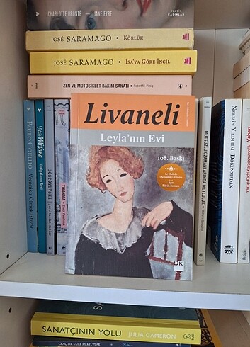 Leylanın evi zülfü livaneli