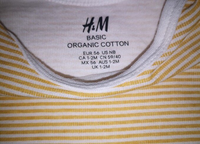 H&M H&M body