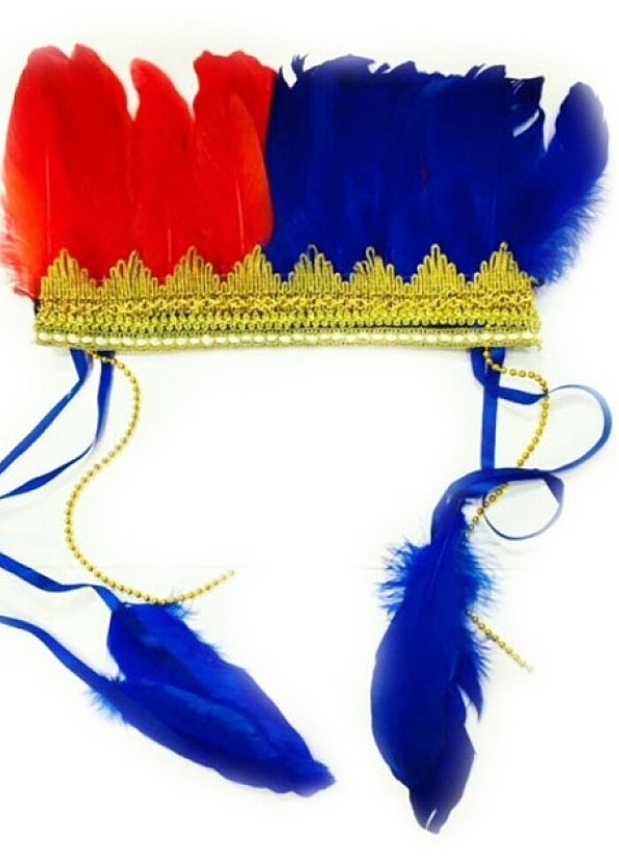 Kızılderili Tüylü Parti Başlığı

 - Görsel 2