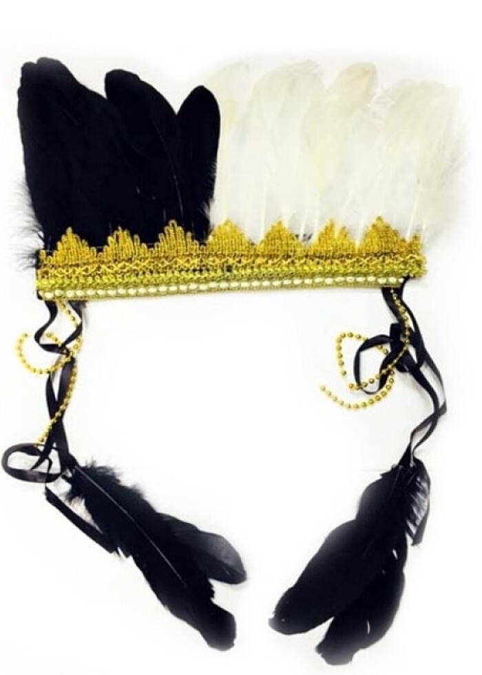 Kızılderili Tüylü Parti Başlığı

 - Görsel 3