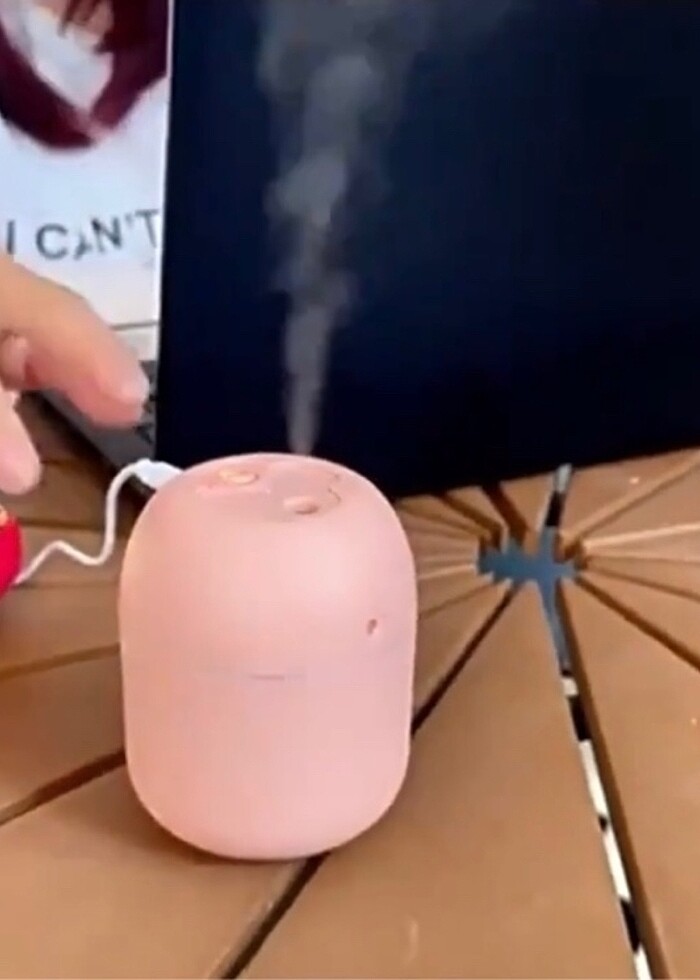 Hava nemlendirici - Görsel 4