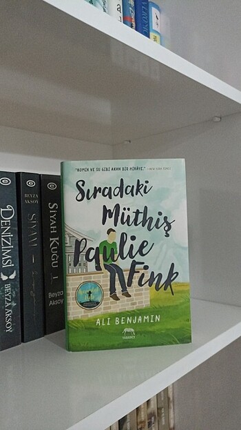 Yabancı Yayınları Sıradaki Müthiş Paulie Fink Ali benjamin
