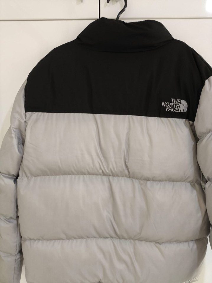 The North Face Gri Şişme Erkek Mont - Görsel 3