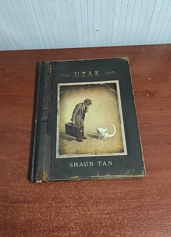  Beden Renk Shaun Tan