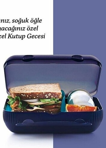 Tupperware beslenme kutusu
