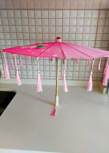 Çin Şemsiyesi - Görsel 5