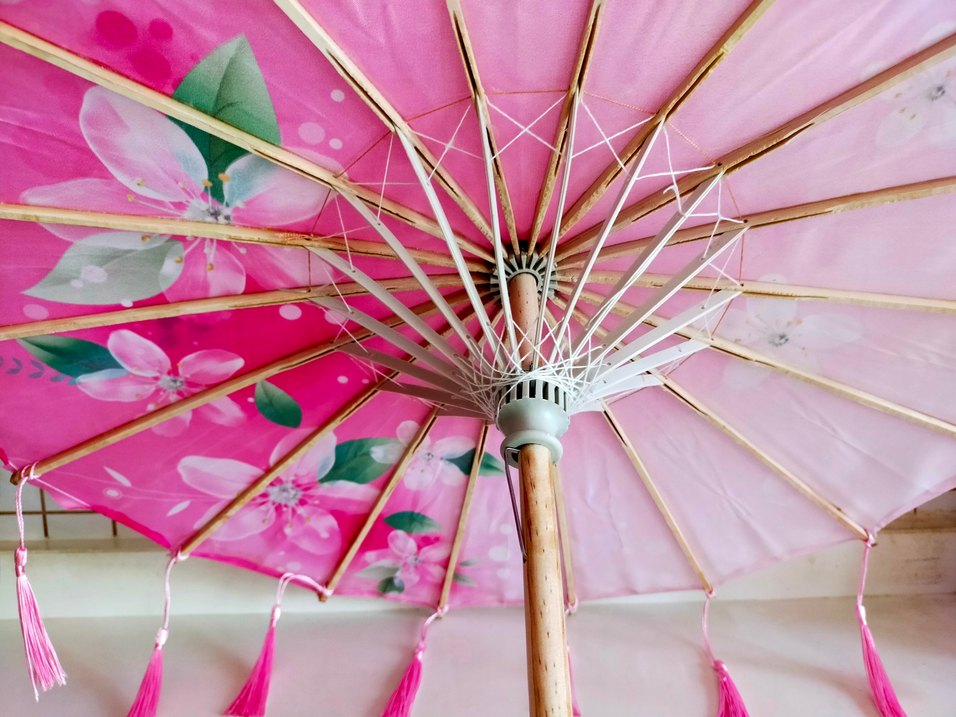 Çin Şemsiyesi - Görsel 3