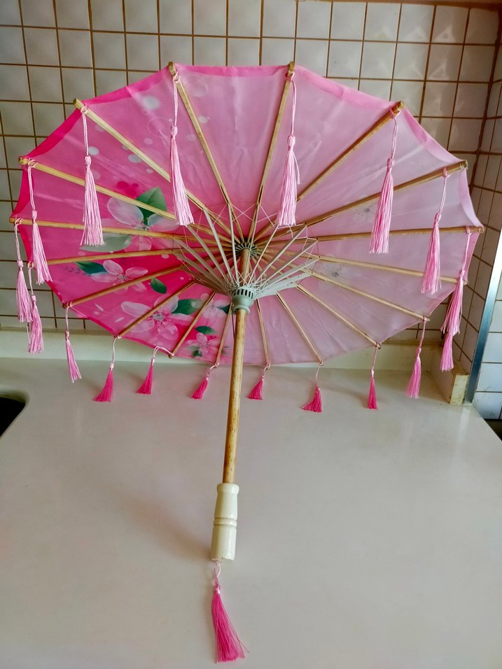 Çin Şemsiyesi - Görsel 4